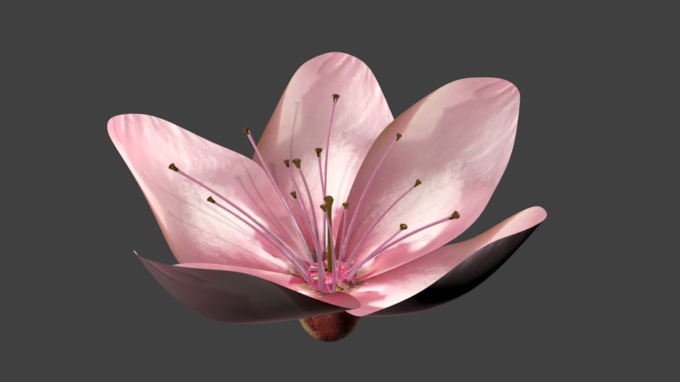 Peach tree flower preview image 1